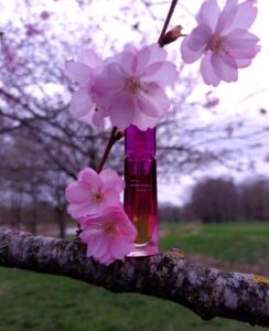 Very Irresistible Sensual Givenchy