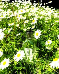 Vetiver Etro
