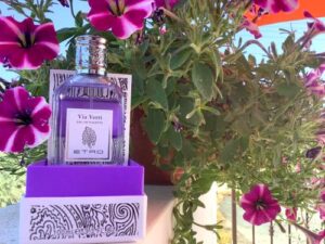 Via Verri Vintage Limited Edition Etro