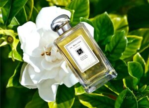 Vintage Gardenia Jo Malone London