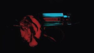 Voleur de Roses L’Artisan Parfumeur