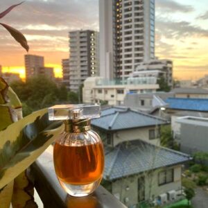 Wanted Helena Rubinstein