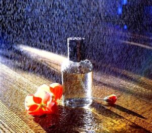 Weekend for Women Burberry