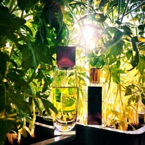 What About Adam Joop!