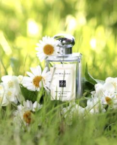 White Jasmine & Mint Jo Malone London