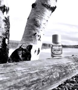 White Musk The Body Shop