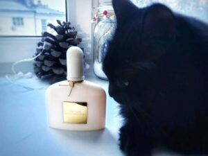 White Patchouli Tom Ford