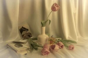 White Shoulders Evyan