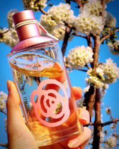 Woman In Rose Alessandro Dell’ Acqua