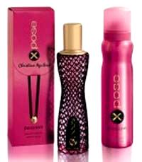 X Pose Passion Christina Aguilera