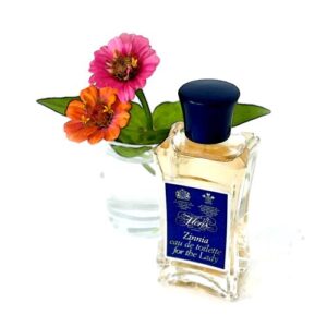 Zinnia Floris