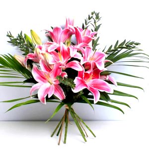Pink Lily