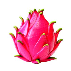 Pitahaya Flower