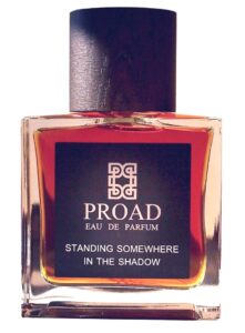 Standing Somewhere In The Shadow Proad