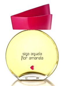Siga Aquela Flor Amarela Quem Disse Berenice