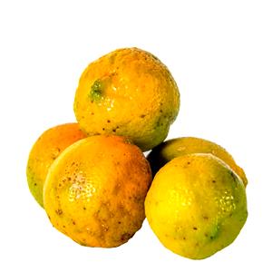 Rangpur