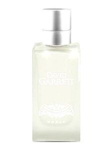 Rock Symphonies Woman David Garrett