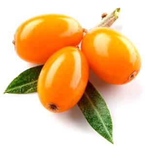 Mar Buckthorn
