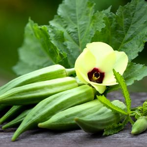 Seed Okra or Gumbo