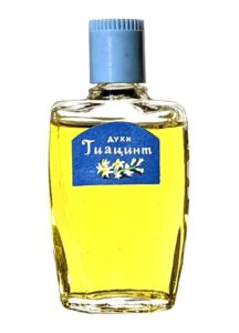 Гиацинт (Hyacinth) Северное сияние