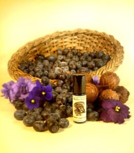 Blueberry Violet Truffle Solstice Scents