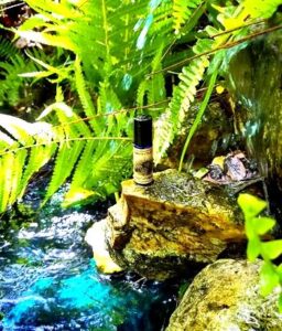 Devil’s Millhopper Solstice Scents