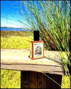 Estate Vetiver Solstice Scents