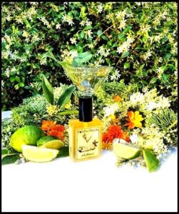 Gin Flower Solstice Scents