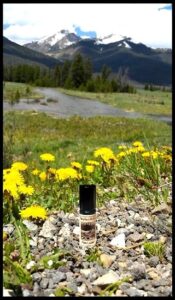 Hidden Lodge Solstice Scents