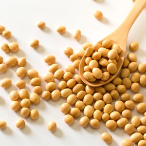Soy Milk