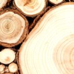 Spiranol