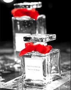 Le Pret-a-Parfumer Couture Yang: Woody Aromatic Stéphanie de Bruijn – Parfum sur Mesure