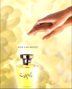 Cajole Swiss Arabian