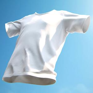 T-Shirt accord