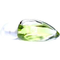 Tan Giudicelli Zen Eau d’Ete Tan Giudicelli