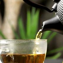 Té de Yunnan