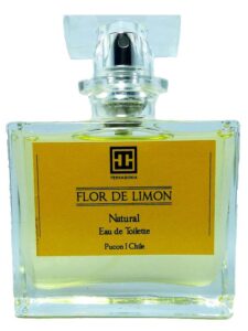 Flor de Limon Terragonia