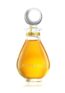 Amber God The House Of Potentia