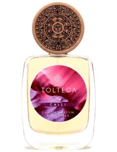 Calli Tolteca