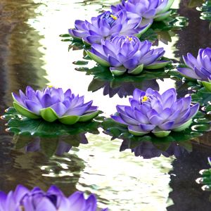 Water Flowers