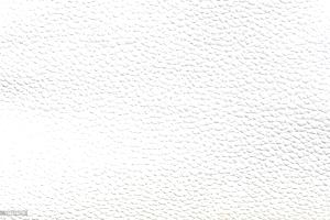 White Leather