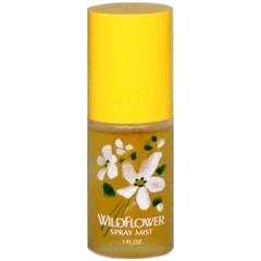Wildflower Alyssa Ashley