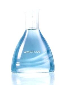Windscape for Him Avon