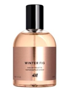 Winter Fig H&M
