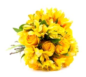 Yellow Flowers
