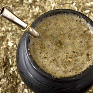 Yerba mate