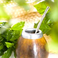 Yerba mate