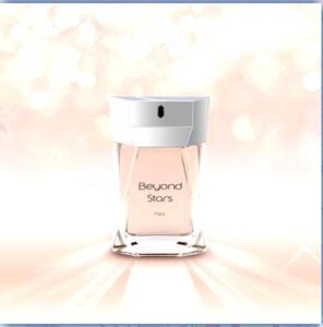 Beyond Stars Yves de Sistelle