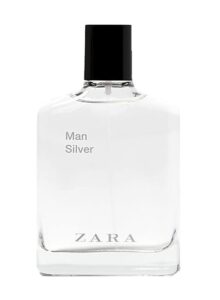 Man Silver Zara
