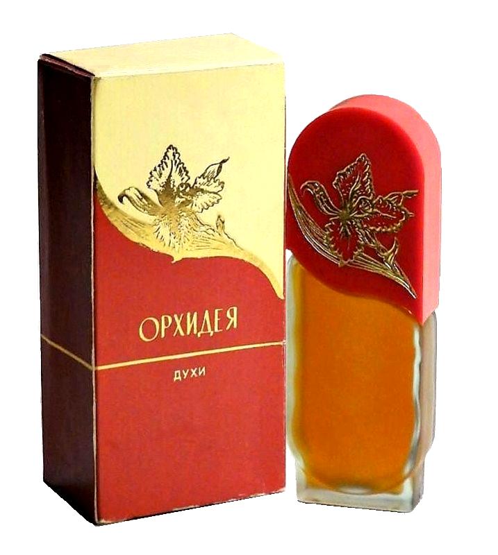 Орхидея – Orchid Алые Паруса (Alye Parusa)